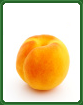 organic apricot